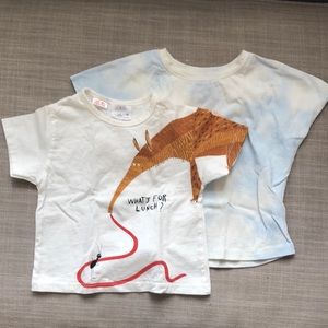 BOGO 2x Zara oversized t shirt